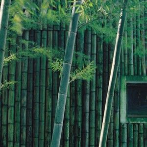 Meet your Posher, Helena